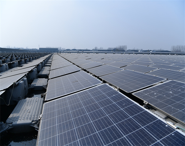 【綠證】價格推動升級！哪些企業必須買？如何交易？